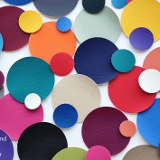 414695041_2328094270719012_6064160685299754818_n