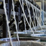 Productieproces 3. Productieproces 3.