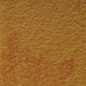 Flower Brown Flower Brown
