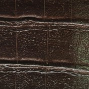 Alligator Mocca Alligator Mocca