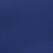 New-Richmond-Bluebell New-Richmond-Bluebell