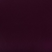 New-Richmond-Damson New-Richmond-Damson